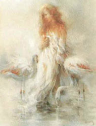 Willem Haenraets - Flamingo